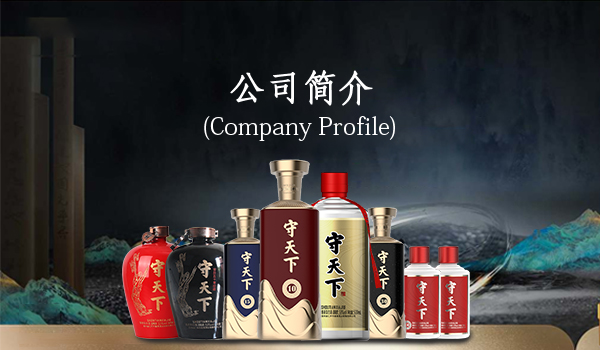 公司简介